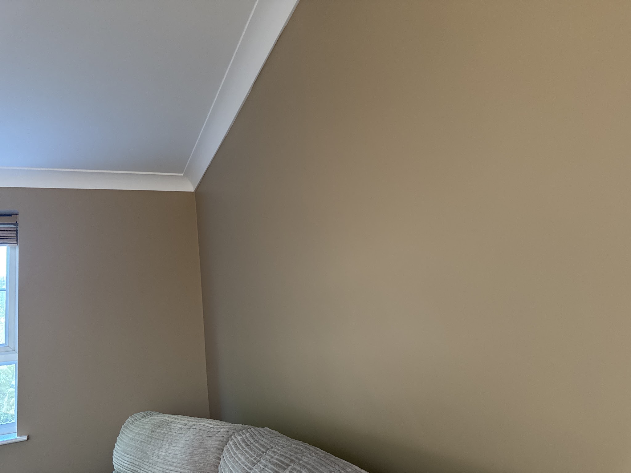 Smooth painted lounge wall with coving above a sofa